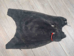 Dyed Sheared Nutria Skin: Gallery Item 