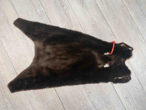 Dyed Sheared Nutria Skin: Gallery Item 