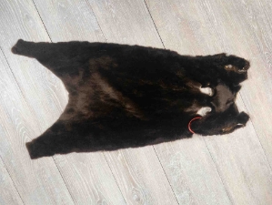 Dyed Sheared Nutria Skin: Gallery Item 