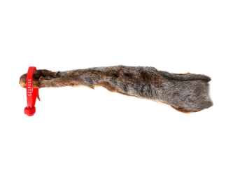 American Gray Squirrel Skin with No Tail: Gallery Item 