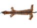 Bobcat Skin: Trading Post Quality: Gallery Item - 338-TP-G8540 (Y2ORD)