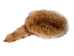 Dyed Davy Crockett Hat: Gallery Item - 343-30-G01 (Y2MRD)
