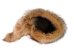 Dyed Davy Crockett Hat: Gallery Item - 343-30-G01 (Y2MRD)