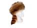 Dyed Davy Crockett Hat: Gallery Item - 343-30-G01 (Y2MRD)