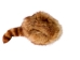 Dyed Davy Crockett Hat: Gallery Item - 343-30-G02 (Y2MRD)