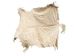 Horse Hide: XL: Gallery Item - 36-XL-G6485 (Y1HRL)