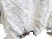 Horse Hide: XL: Gallery Item - 36-XL-G6485 (Y1HRL)