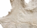 Horse Hide: XL: Gallery Item - 36-XL-G6485 (Y1HRL)