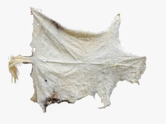 Horse Hide: XL: Gallery Item 