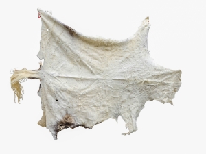 Horse Hide: XL: Gallery Item 