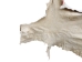 Horse Hide: XL: Gallery Item - 36-XL-G6486 (Y1HRL)