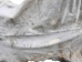 Horse Hide: XL: Gallery Item - 36-XL-G6486 (Y1HRL)