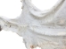 Horse Hide: XL: Gallery Item - 36-XL-G6486 (Y1HRL)