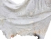 Horse Hide: XL: Gallery Item - 36-XL-G6486 (Y1HRL)