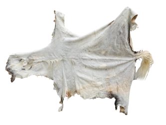 Horse Hide: XL: Gallery Item 
