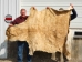 Horse Hide: XL: Gallery Item - 36-XL-G6495 (Y2DRN)