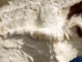 Horse Hide: XL: Gallery Item - 36-XL-G6495 (Y2DRN)