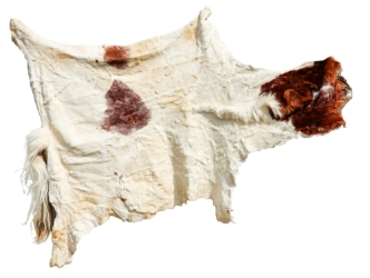 Horse Hide: XL: Gallery Item 