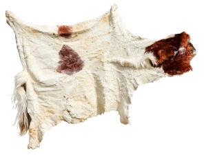 Horse Hide: XL: Gallery Item 