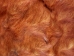 Horse Hide: XL: Gallery Item - 36-XL-G6496 (Y2DRP)