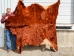 Horse Hide: XL: Gallery Item - 36-XL-G6496 (Y2DRP)