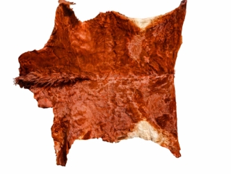 Horse Hide: XL: Gallery Item 