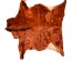 Horse Hide: XL: Gallery Item - 36-XL-G6496 (Y2DRP)