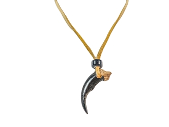 Iroquois Realistic Wolf Claw Necklace: 1-claw: Gallery Item 