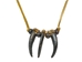Realistic Iroquois Wolf Claw Necklace: 3-claw: Gallery Item - 368-503-G4786 (Y2H)