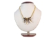 Real Iroquois Badger Claw Necklace: 3-Claw: Gallery Item - 368-703-G4782 (Y2HC14)