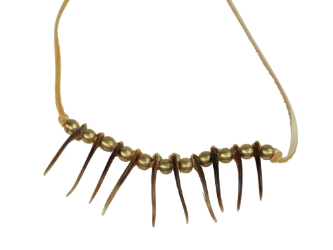 Real Iroquois Badger Claw Necklace: 10-Claw: Gallery Item 