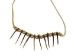 Real Iroquois Badger Claw Necklace: 10-Claw: Gallery Item - 368-710-G6389 (Y1MC08)