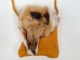 Red Fox Face Bag: Gallery Item - 422-66-G4797 (Y1L)