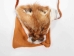 Red Fox Face Bag: Gallery Item - 422-66-G4798 (Y1L)