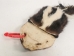 Deluxe Skunk Bag: Gallery Item - 429-DX-G4793 (Y2JC03)
