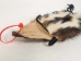 Deluxe Skunk Bag: Gallery Item - 429-DX-G4794 (Y2JC03)