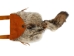 Coyote Fur and Cow Leather Bag with Tail: Gallery Item - 431-10-G7511 (Y1GRK)