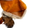 Coyote Fur and Cow Leather Bag with Tail: Gallery Item - 431-10-G7511 (Y1GRK)