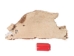 Partial Sheared Beaver Skin: Bleached: Gallery Item - 50-55-G4463 (Y1LRB)