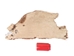 Partial Sheared Beaver Skin: Bleached: Gallery Item - 50-55-G4463 (Y1E)