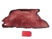 Partial Beaver Skin: Dyed: Gallery Item - 50-55-G4464 (Y1LRB)