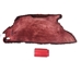 Partial Beaver Skin: Dyed: Gallery Item - 50-55-G4464 (Y1E)
