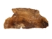 Partial Beaver Skin: Bleached: Gallery Item - 50-55-G4465 (Y1E)
