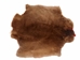 Sheared Beaver Skin: Bleached: Gallery Item - 50-55-G4472 (Y1E)