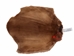Sheared Beaver Skin: Bleached: Gallery Item - 50-55-G4474 (Y1E)