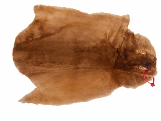 Sheared Beaver Skin: Bleached: Gallery Item 