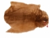 Sheared Beaver Skin: Bleached: Gallery Item - 50-55-G4476 (Y1L)