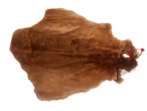 Sheared Beaver Skin: Bleached: Gallery Item 