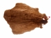 Sheared Beaver Skin: Bleached: Gallery Item - 50-55-G4480 (Y1E)