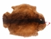 Sheared Beaver Skin: Bleached: Gallery Item - 50-55-G4483 (Y1E)